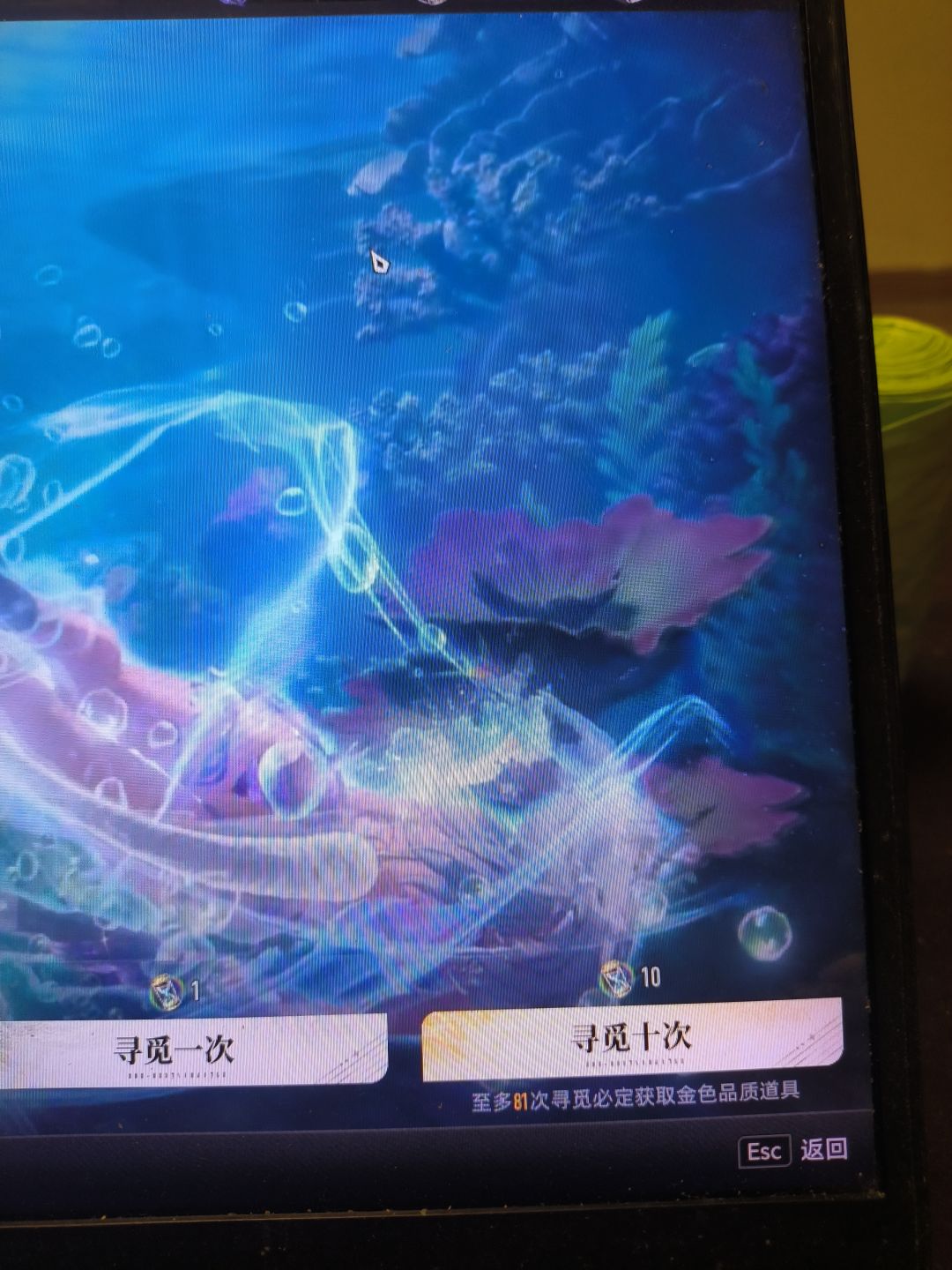 动态图片 3