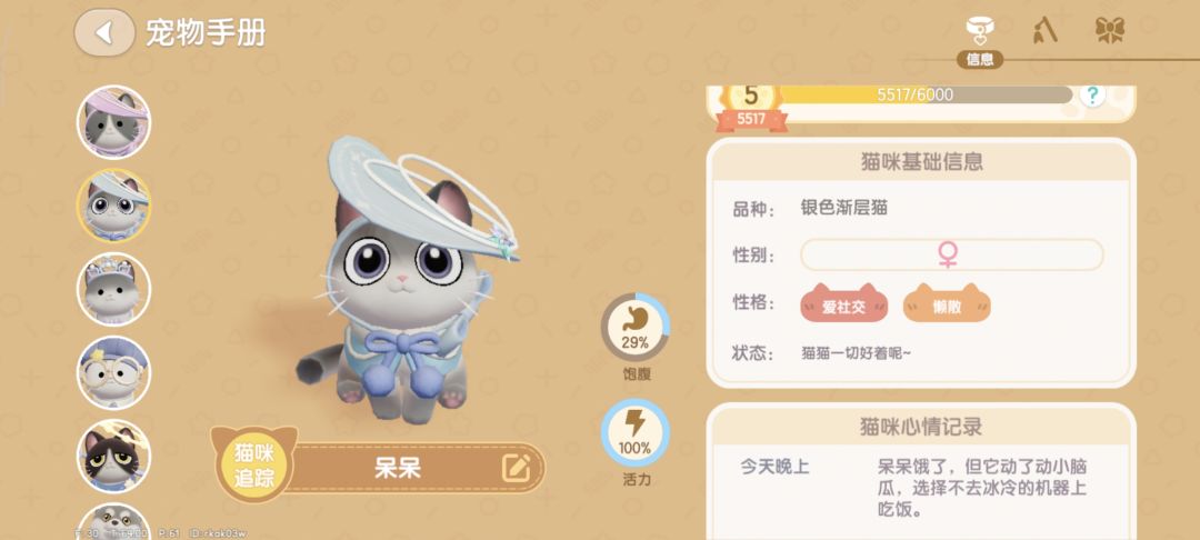 看似好运实则神奇调料 6
