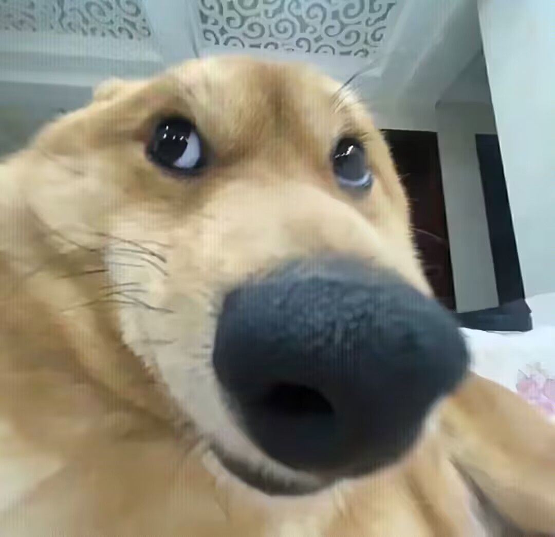 无尽一小时,后期太卡了🤣 2