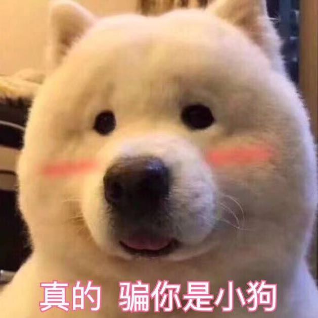 幽影,圣龙双杀三缺一截图