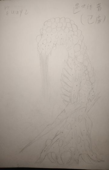 重建家园同人－遇难者（已废稿）