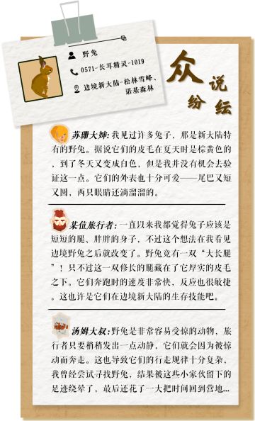 边境档案｜野兔：兔子也有“大长腿”？