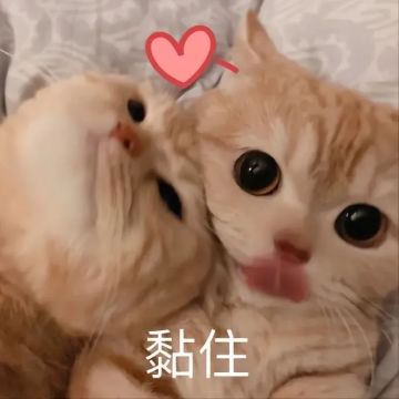 【第136期周报：新内容推进】