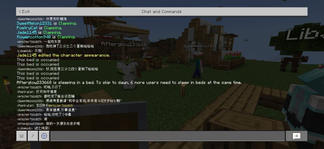 在Minecraft过生日! 6
