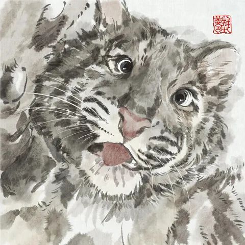 动态图片 1