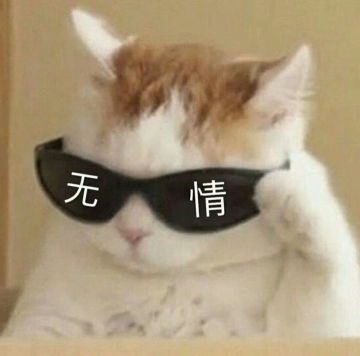 【假期愉快】来分享你的假期计划吧~