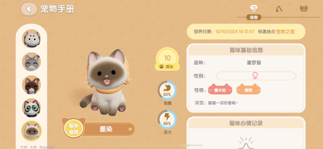 大团圆 9
