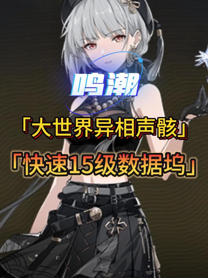 鸣潮一定要拿的异相声骸及速升15级数据坞截图