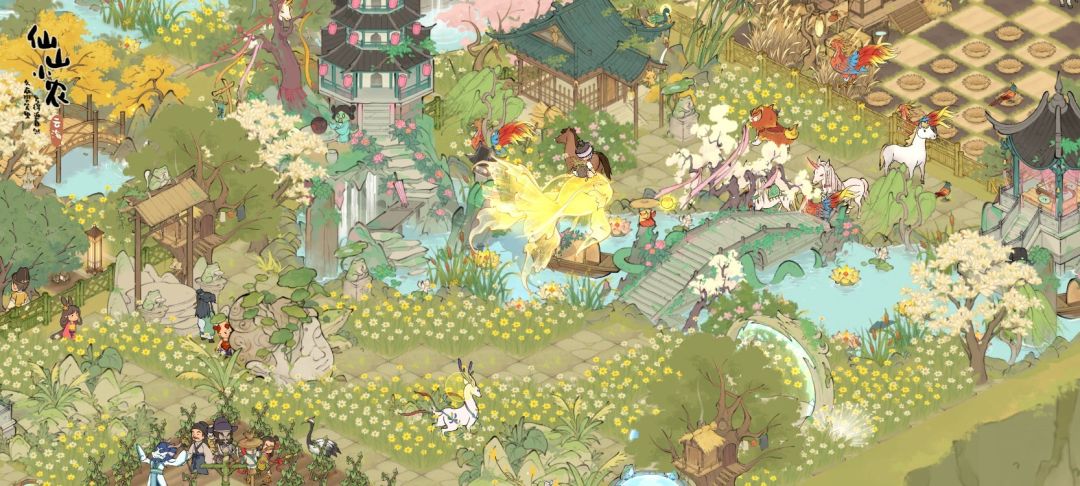 油茶花田 3