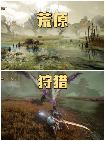 ✨正版怪物猎人手游，快来狩猎巨兽✨