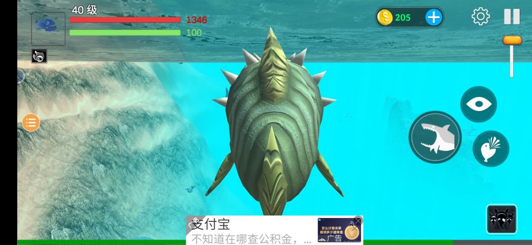 动态图片 3