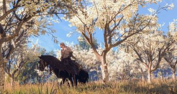 可能是最详细的《巫师三》新手攻略