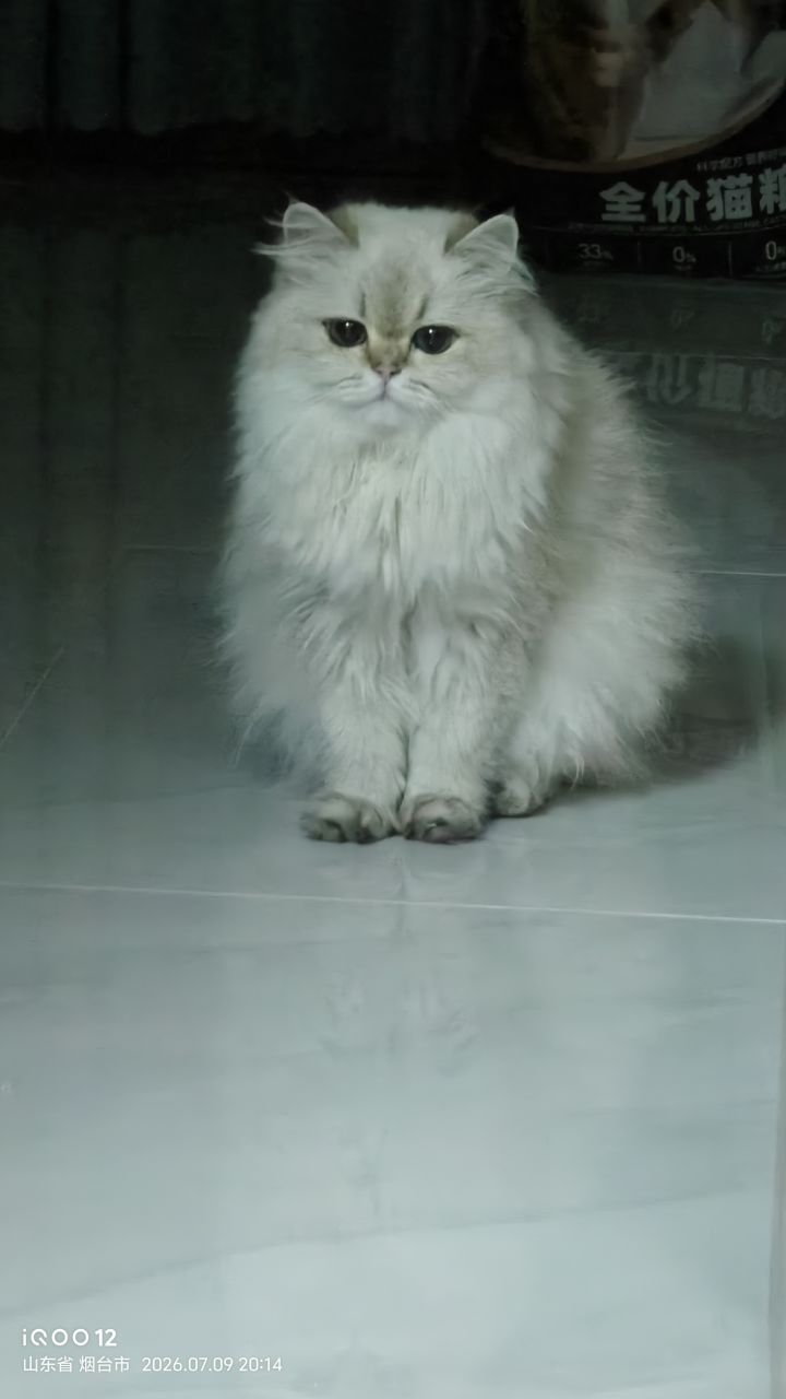 真感觉不错截图