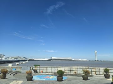 开发者断网失联几天