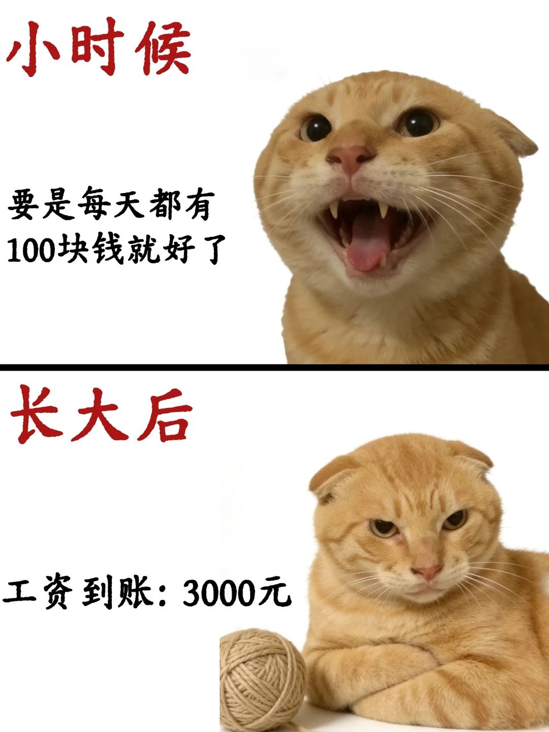 回不去的青春 1