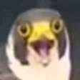 可爱? 2