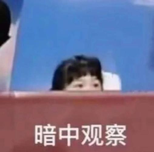 小萌新来啦 1