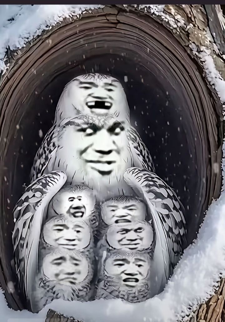 求助 10