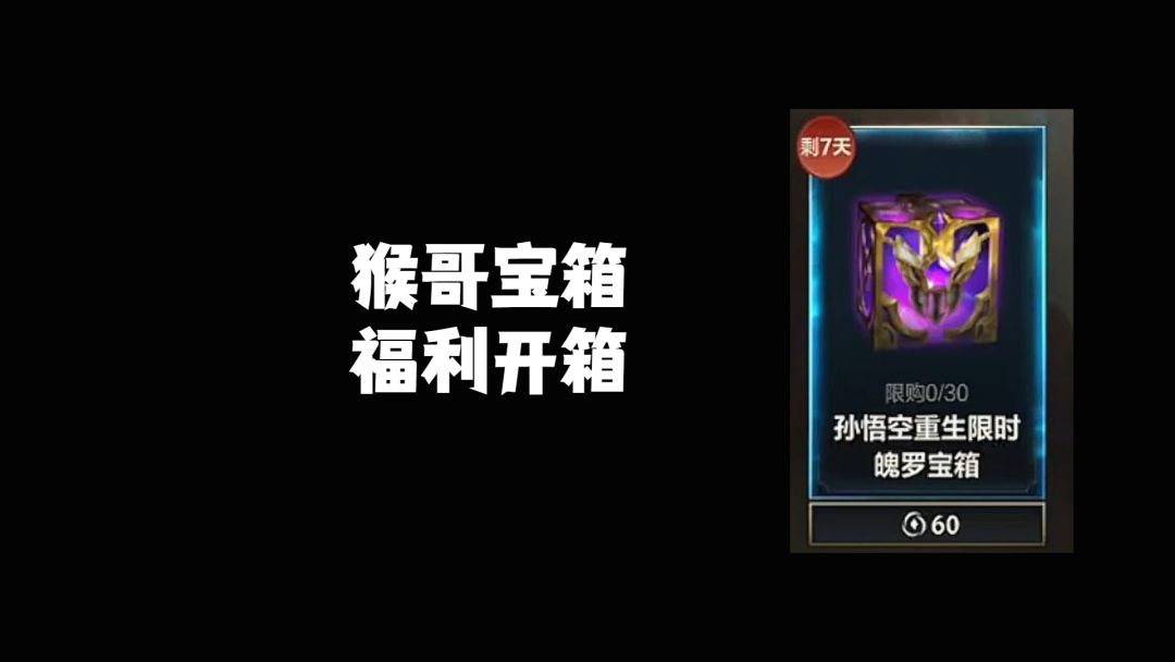 video-4009823
