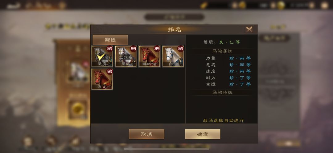 周五啦,赛马注意事项和马商资源分配心得 1