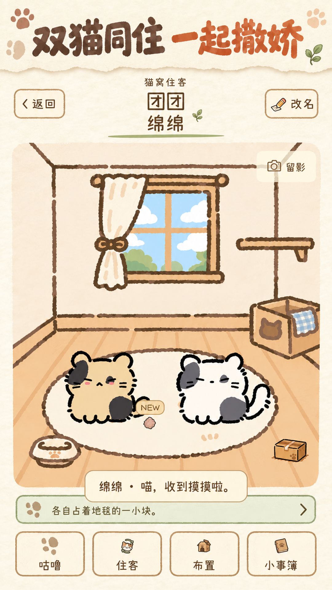 猫猫更新啦~ 2