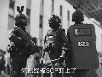 动态图片 6