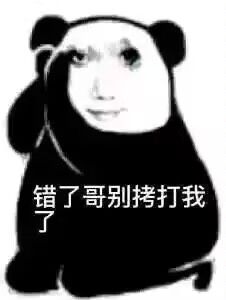 305版本徒手坦个人配置 1