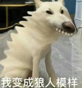 又来咯 2