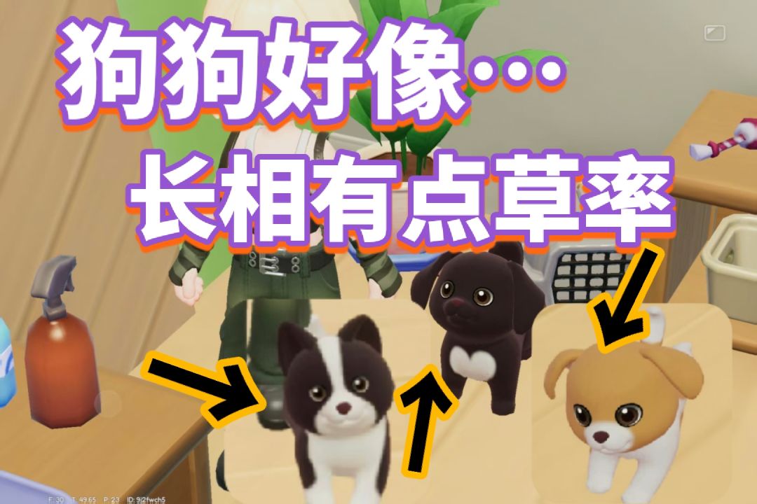 【心动小镇】今天有遇到心仪的狗吗?🐶 1