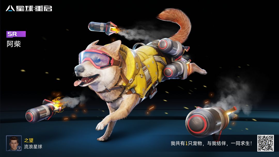 通用礼包码 1