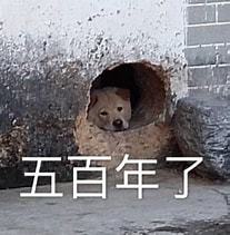大更新预测(二)截图