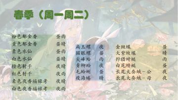 春夏秋冬的采集物汇总