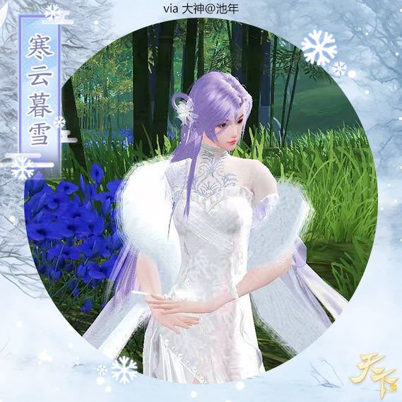 动态图片 3