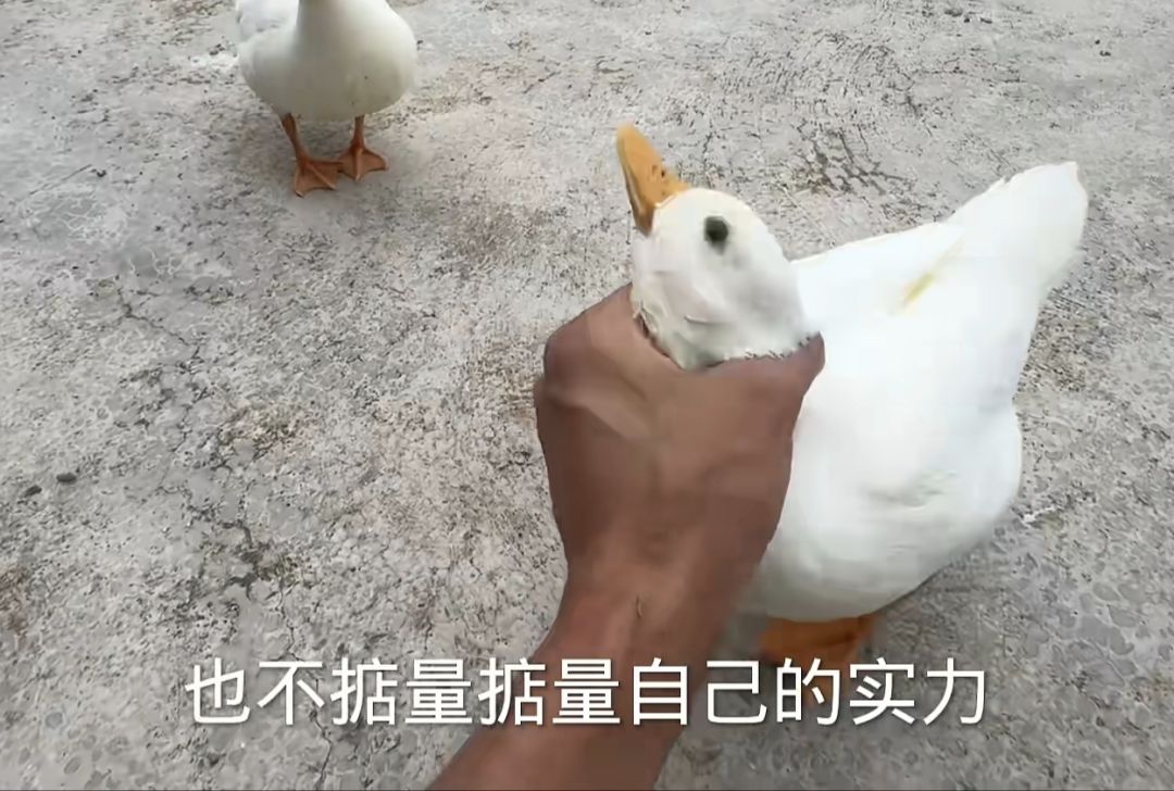 1.5w年大罗金仙 9