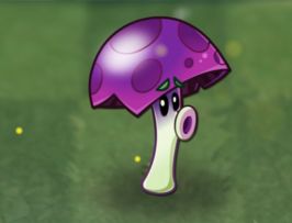 【前瞻】新植物-胆小菇