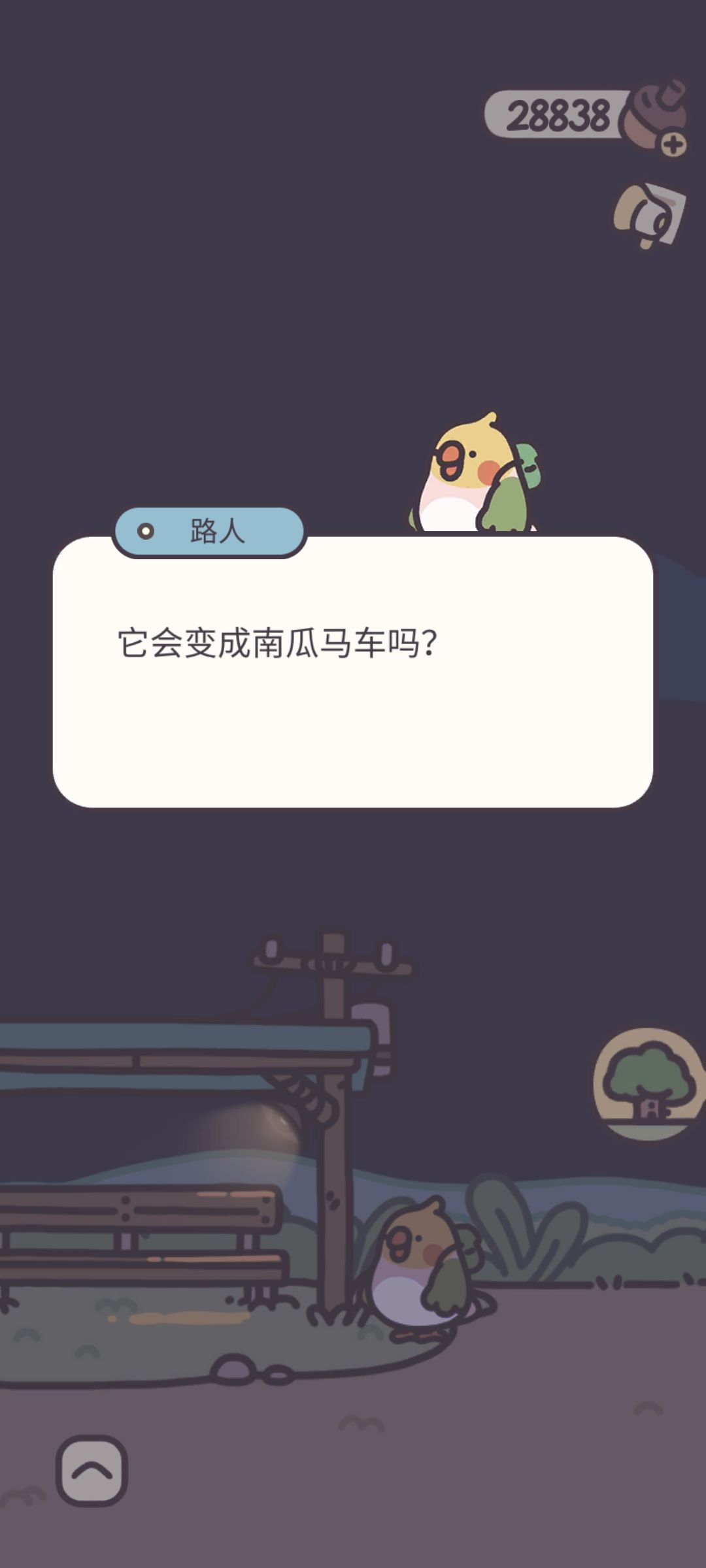 鹦鹉经典语录🦜 2