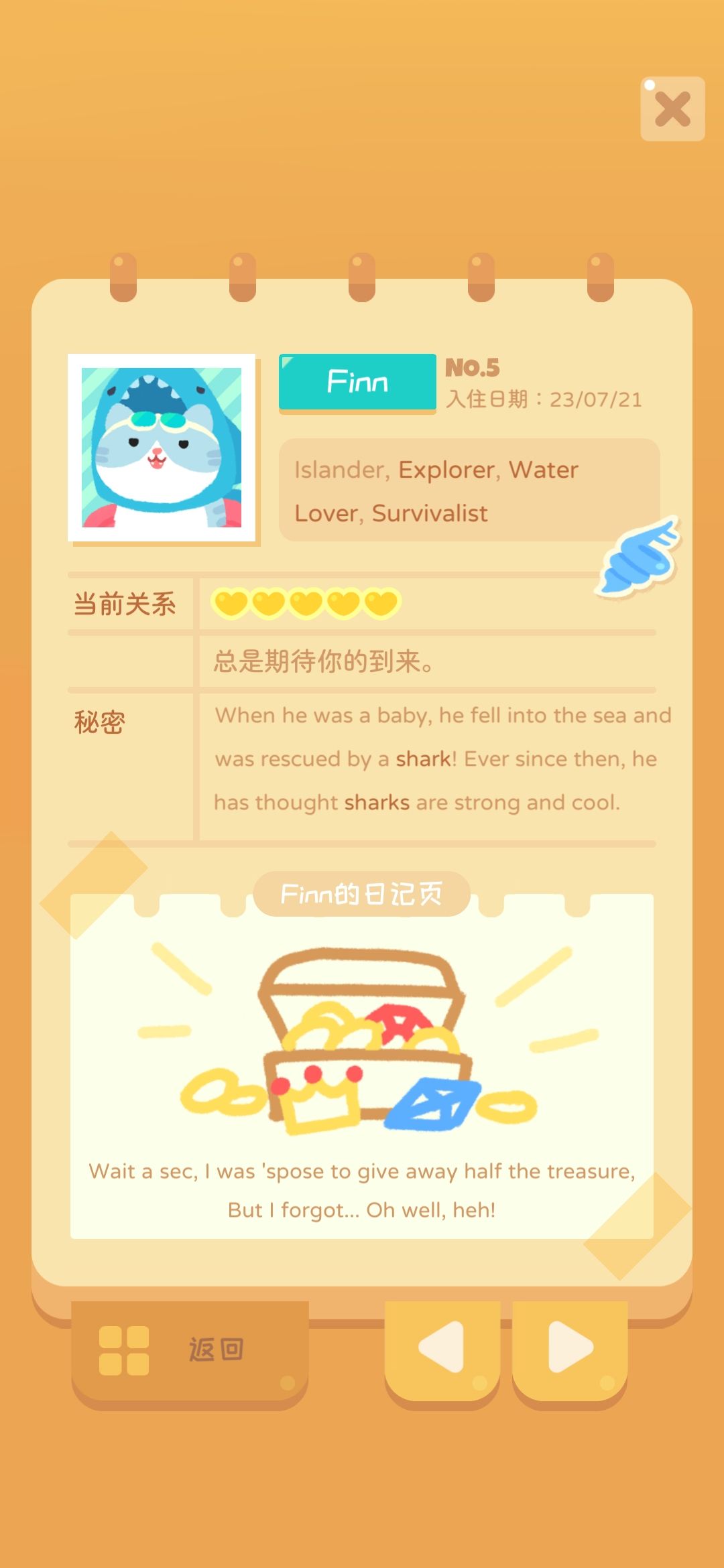 三个新猫 1