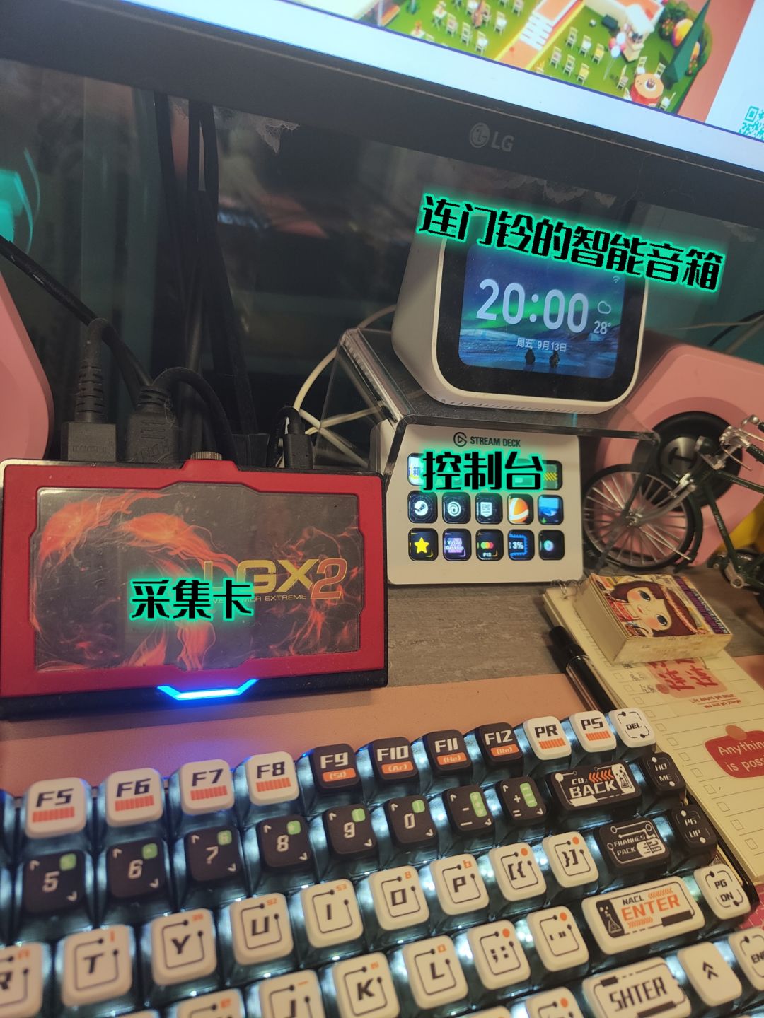 阿宅猫猫的打机环境，附真猫猫🐱 2
