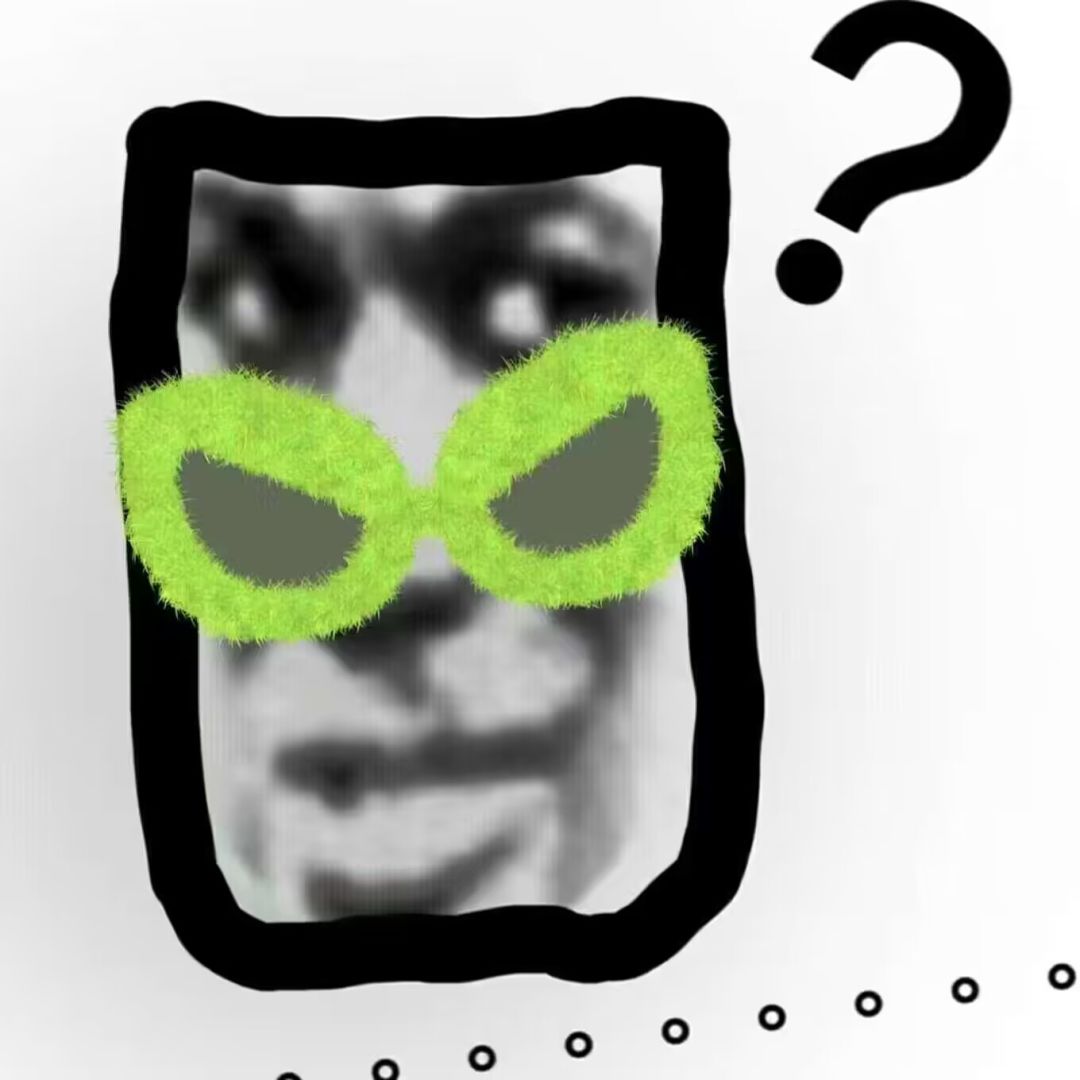 6w甲 3