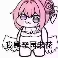 抽卡记录:限时100抽 1