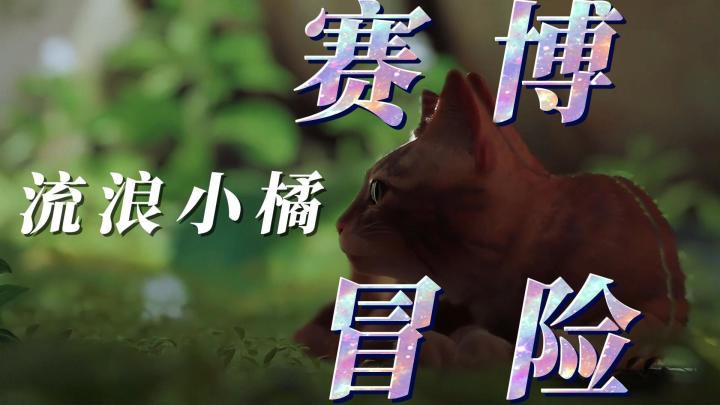 化身橘猫🐱,迷失赛博废都!《Stray》的奇幻冒险等你来挠!截图