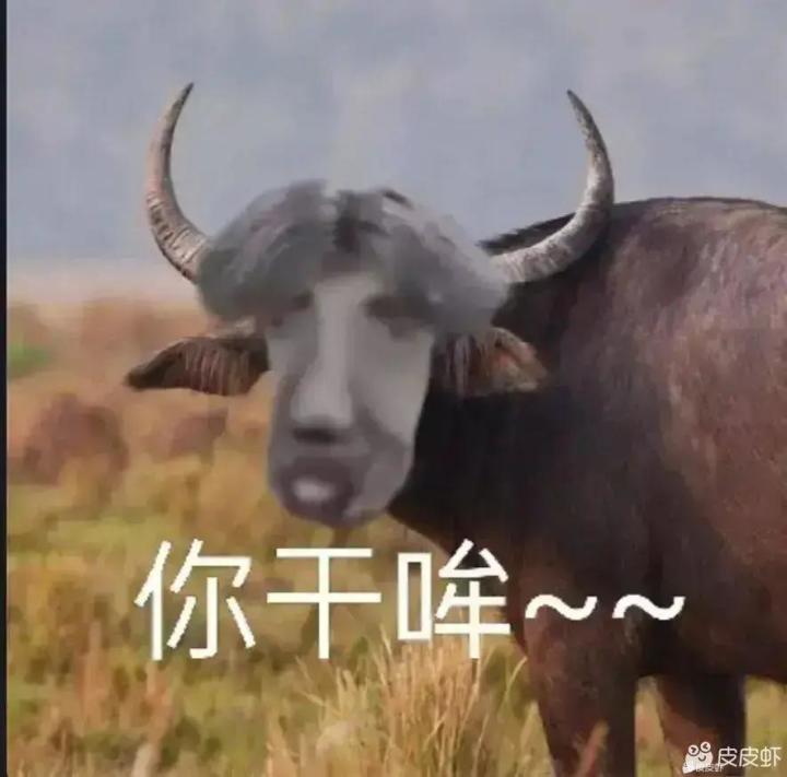 请请教一下大佬,副功法的升星 聚气内力吃的到吗?还是说三个功法里面只生效主功法的身的? 也是同样的吗?截图