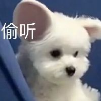 【酒馆情报站】听说新职业要来啦?!截图