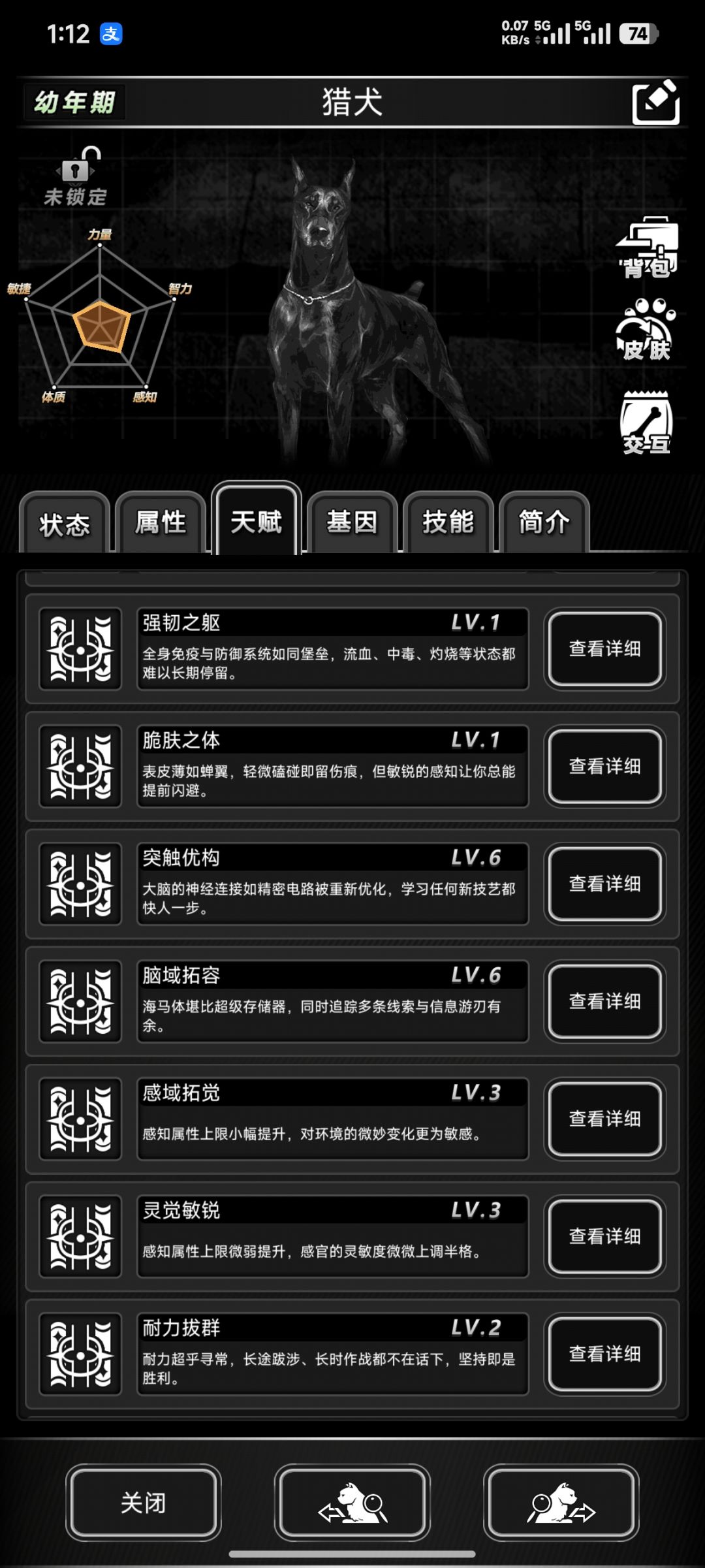 智力616的猎犬 3