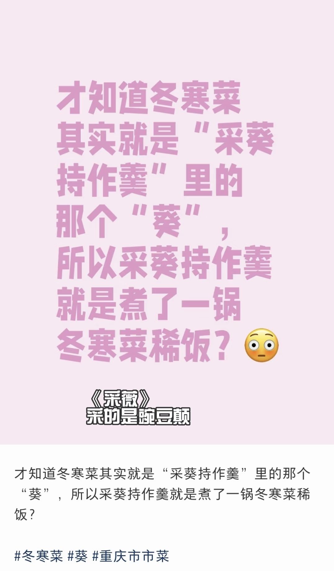 今日份笑料 6