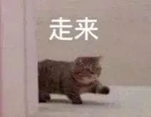 本玩家的爱好是瞎溜达所以我有一个提议 1