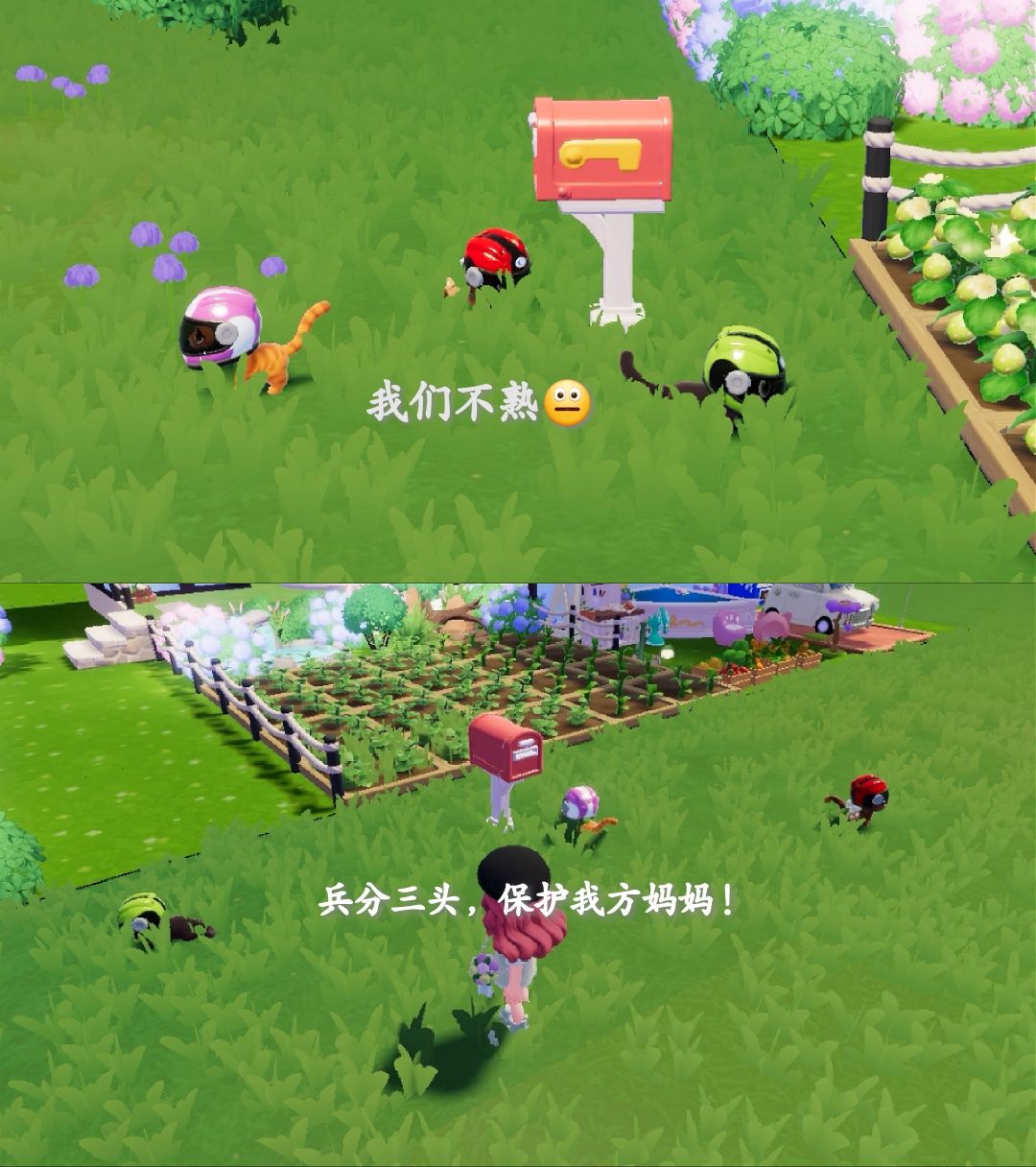 和喵喵们的日常 2