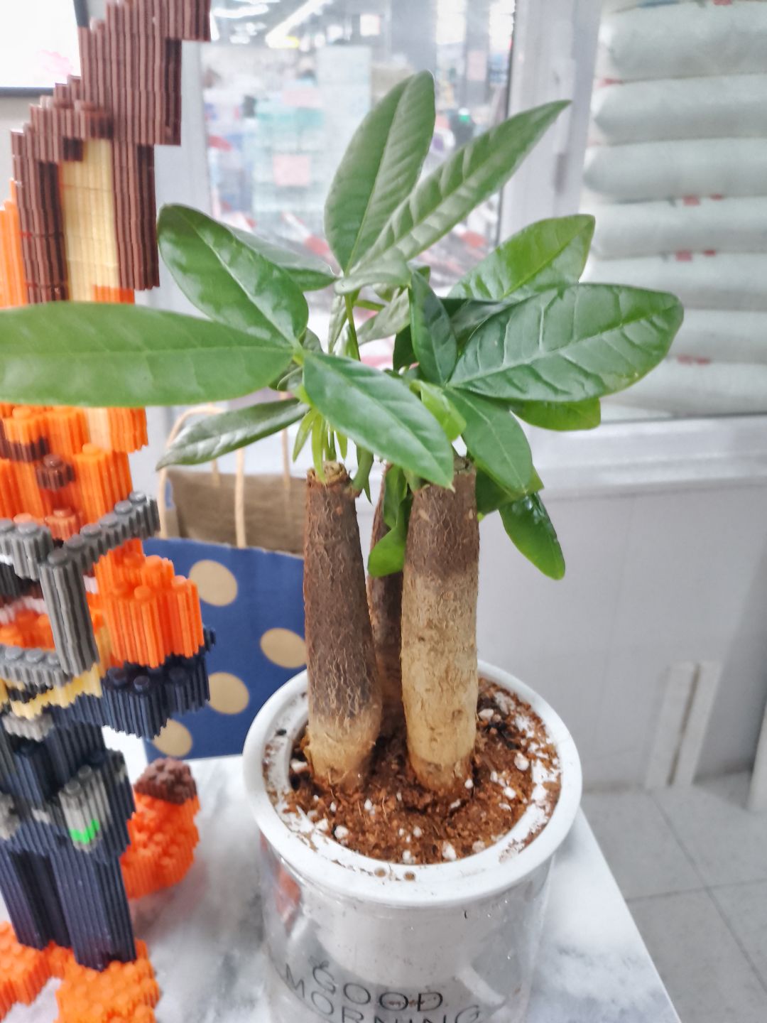 这次bug看你咋处理哈哈 1