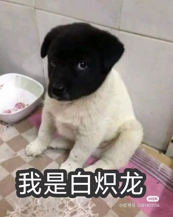 提问,要不要等29号后再入坑 1