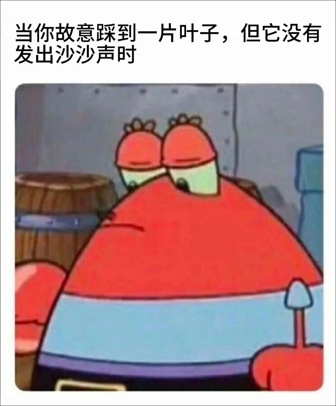 ✨今日份梗图分享第八十四期✨ 2